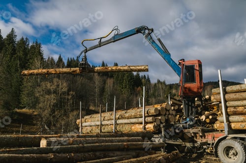 Preview: Crane loading wood into wood truck with big piles of timbers into trunk