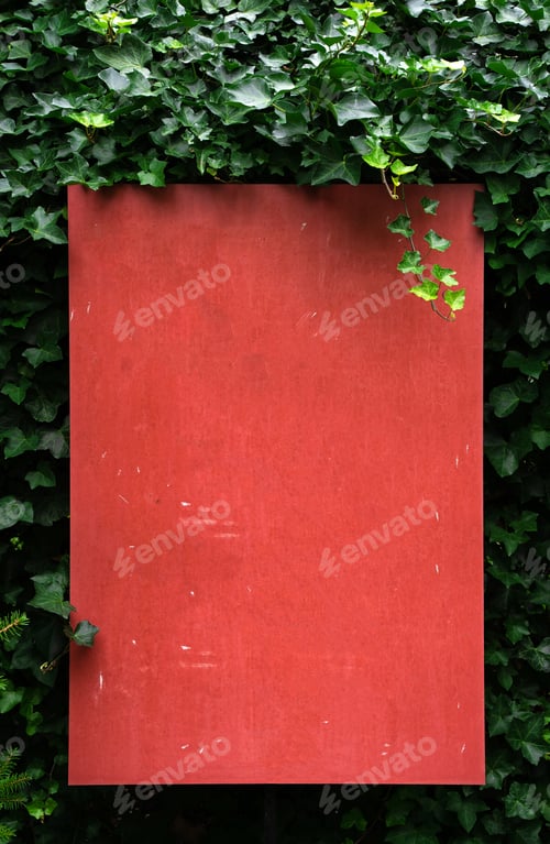 Preview: Red wooden signboard with green ivy background