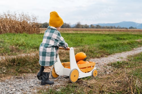 Preview: Little boy pushing children wooden wagon full of pumpkins in pumpkin patch.