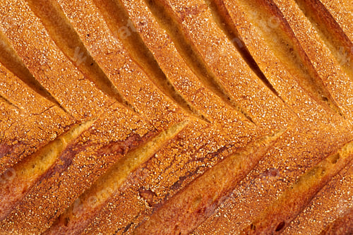 Preview: Fresh homemade crispy baguette texture.