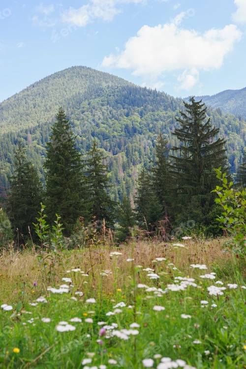 Preview: Summer Mountain Landscape With Green Forest, Wildflowers, And Blue Sky With Scattered White Clouds