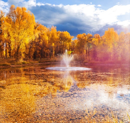 Preview: Autumn season