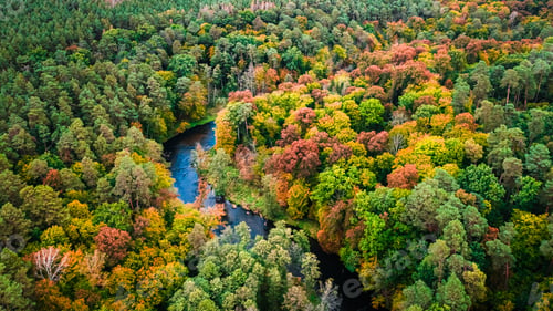 Preview: Forest and river. Aerial view of autumn wildlife, Poland.