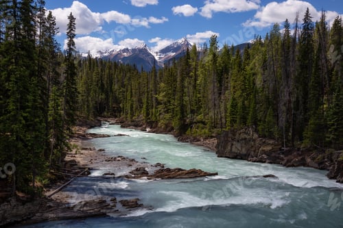 Preview: River flowing in the canyon surrounded by the Canadian Rockies
