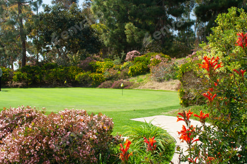 Aperçu: Golf Course Practice Putting Green Amongst Flowers.
