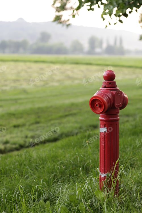 Preview: Vertical shot of a red fire hydrant in the park