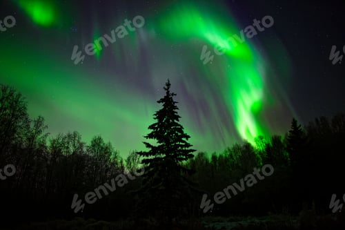 Preview: Aurora in Alaska