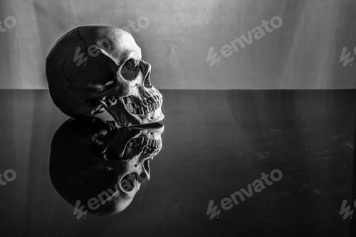 Preview: Skull