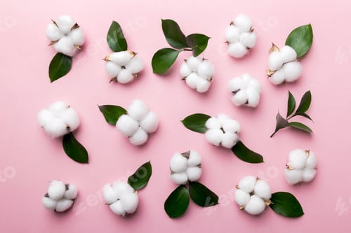 Preview: Autumn Floral Flat lay background composition. Dried white fluffy cotton flower