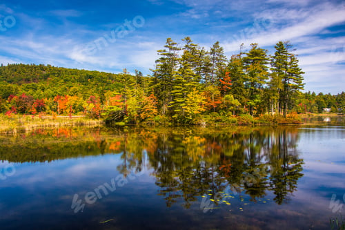 Vorschau: Frühherbstliche Farben am North Pond, in der Nähe von Belfast, Maine.