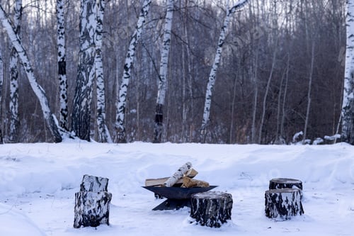 Preview: place for a winter picnic with a portable iron hearth with firewood and seats made of logs