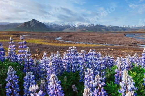 Preview: Great waterfall Skogafoss in south of Iceland