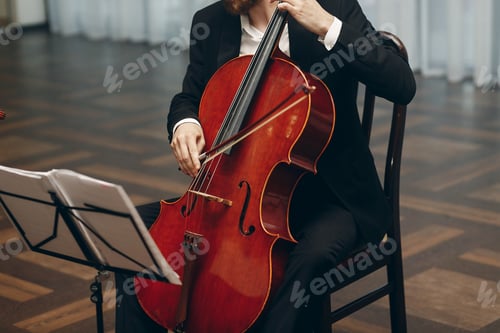 Preview: Elegant string quartet performing at wedding reception in restaurant