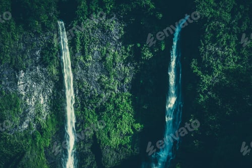 Preview: Creek in rainforest