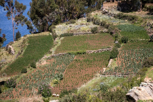 Preview: Isla del Sol on lake Titicaca in Bolivia