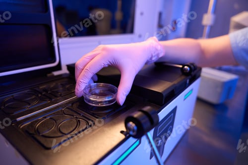 Preview: Experienced scientist culturing embryos in lab setting