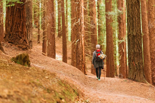 Preview: old age and physical activity