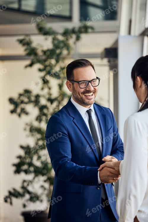 Preview: Business Partners Shaking Hands in a Bright Modern Office Environment