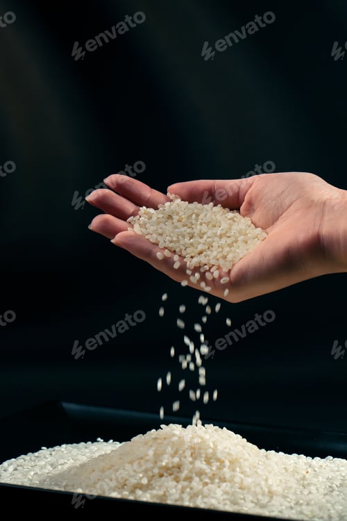Preview: close up on black and blue background there is white round rice on a black long flat plate Japanese