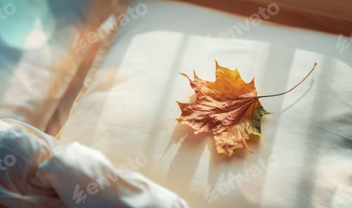 Preview: Autumn maple leaf on pillow