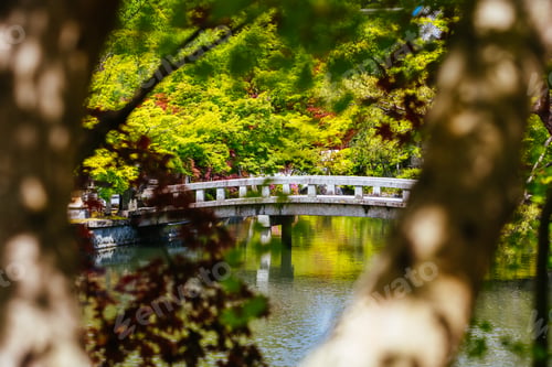 Preview: Eikando Temple (Eikan-do) in Kyoto Japan