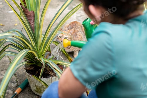 Preview: Woman seen from behind watering a plant that was wilting and right next to her is her pet cat.