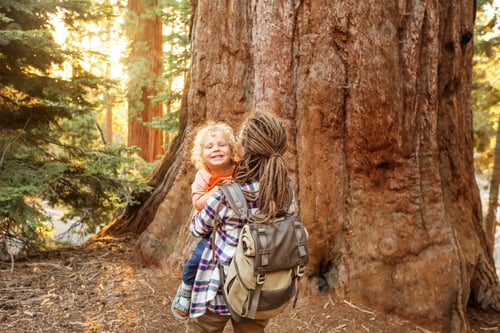 Preview: Family With Boy Visit Sequoia National Park In California, Usa