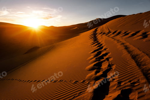 Preview: In the desert