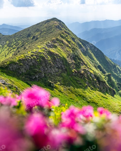 Preview: Nature landscape with green peaks and blooming slopes in spring mountains