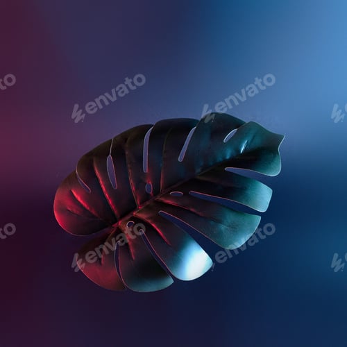 Preview: Trending contemporary tropical jungle in neon party lighting and monstera palm leaf. Minimal concept