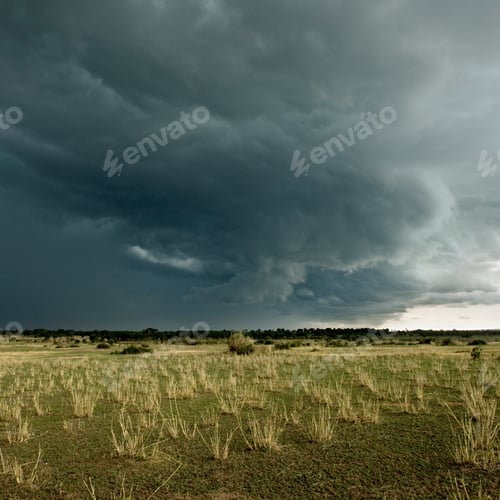 Preview: Rain cloud over Africa landscape, Serengeti National Park, Serengeti, Tanzania
