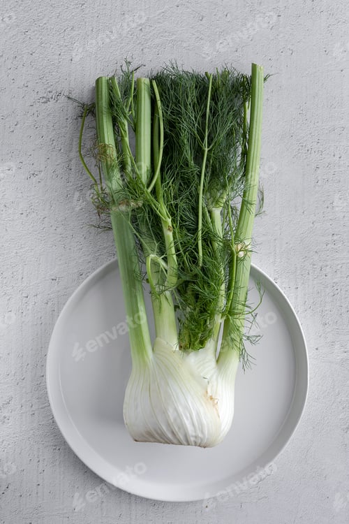 Preview: Fresh raw fennel