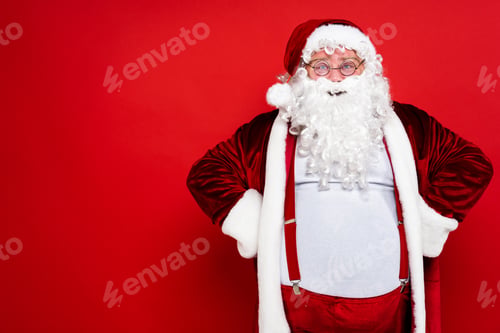 Preview: Funny Santa Claus portrait