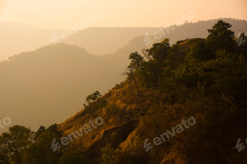 Preview: Summer landscape of mountain forest at sunset, India.