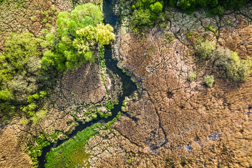 Preview: Top view of small river and brown swamps, Poland