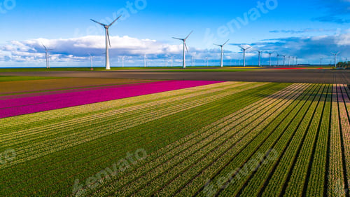 Preview: offshore windmill park with clouds and a blue sky, windmill park in the ocean drone aerial view with