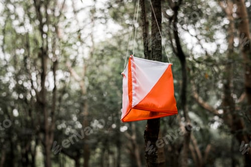 Preview: Orienteering box outdoor in a forest