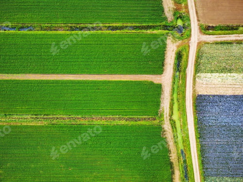 Preview: Summer drone shot of a field