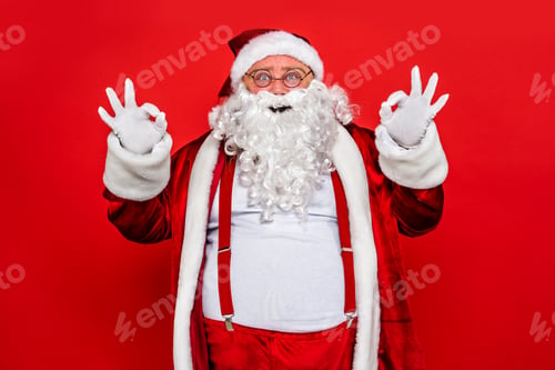 Preview: Funny Santa Claus portrait