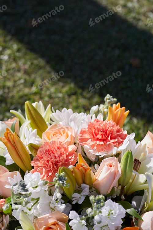 Preview: Close-up photo of bunch of colorful flowers at the Garden