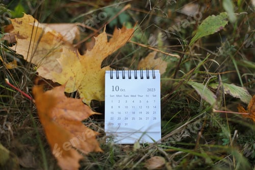 Preview: table calendar concept and copy space. October 2023 monthly calendar by maple leaves nature