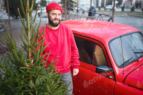 Preview: attractive bearded man in a red sweater and hat holds a Christmas tree in his hands against the