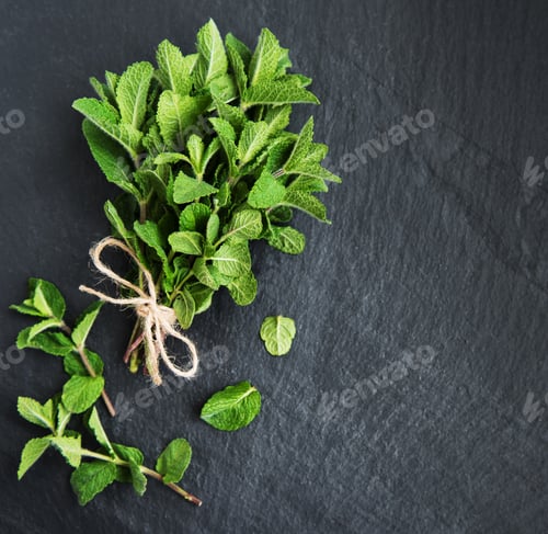 Preview: Fresh green mint