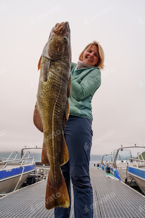 Preview: Happy Fisherwoman holding big arctic cod. Norway happy fishing. Woman with cod fish in hands