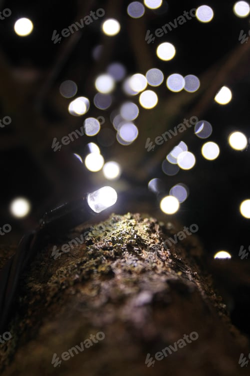 Preview: Christmas Lights Bokeh