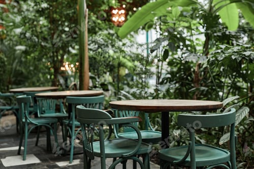 Preview: Empty Green Cafe