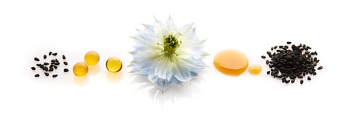 Preview: Black Seeds, Oil Capsules, and Blue Flower