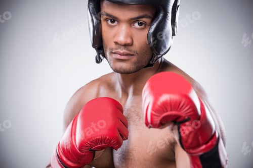 Preview: Confident boxer.