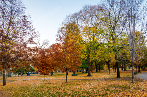 Preview: Autumn colorful vegetation of Queens Park - Toronto, Ontario, Canada