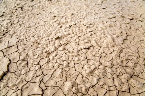 Preview: Cracked Earth Texture in Dry Arid Desert
